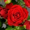 Троянда Ред Ванесса спрей - Фото 3