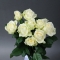 Bouquet of 9 Avalanche Roses - Photo 1