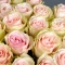 Букет із 25 кремових троянд Фрутетто - Фото 3