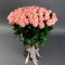 Букет из 51 розы Софи Лорен - Фото 1