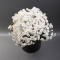 Assorted chrysanthemum in a pot - Photo 3