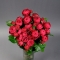 Троянда Чері Трендсеттер - Фото 2
