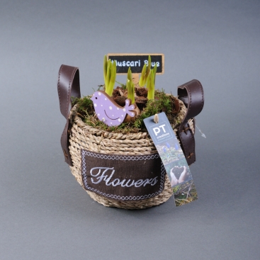 Composition Muscari in a basket