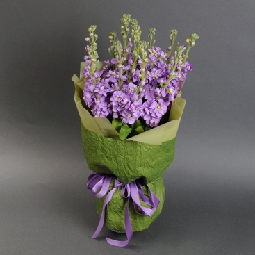 Букет фиолетовых матиол