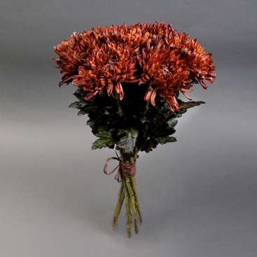 Chrysanthemum bouquet Autumn