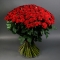 Букет из 101 розы Маричка  - Фото 1