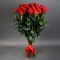 Букет із 25 троянд Марічка - Фото 1