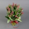 Букет из 25 красных пионовидных тюльпанов  - Фото 3