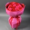 Букет 25 троянд Пінк Експрешн та Хот Експлорер - Фото 2