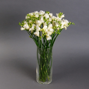 Фрезия в вазе