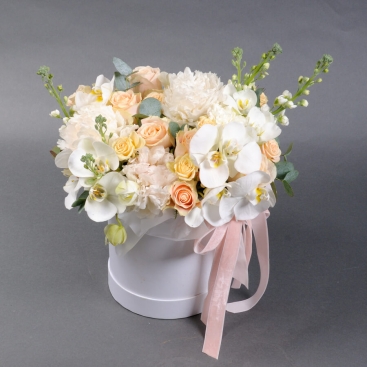 Composition Silk Veil 