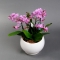 Мини орхидея микс в кашпо - Фото 5