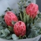 Bouquet of Madiba proteas - Photo 3