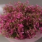 Bouquet of pink Chamelacium - Photo 3