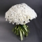 Букет 101 белая хризантема - Фото 1