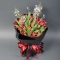 Букет із піоноподібних тюльпанів Червоний діамант - Фото 1