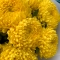 Bouquet of yellow XL chrysanthemums  - Photo 3