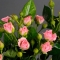 Троянда Грація спрей - Фото 5