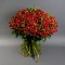 Букет 101 троянда спрей Ред Ванесса - Фото 1