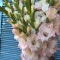 Bouquet with Gladioluses - Photo 5