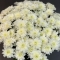 Букет білих хризантем №2 - Фото 3