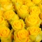 Троянда Пенні Лейн - Фото 3