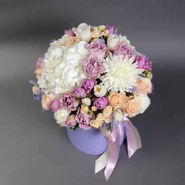 Композиція Верона