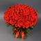 Букет із 151 троянди Ель Торо  - Фото 3