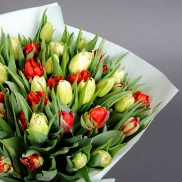 Bouquet tulips Extravaganza 