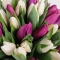 Букет із 51 тюльпана - Фото 3