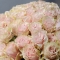 Букет из 51 розы Пинк Мондиаль - Фото 2
