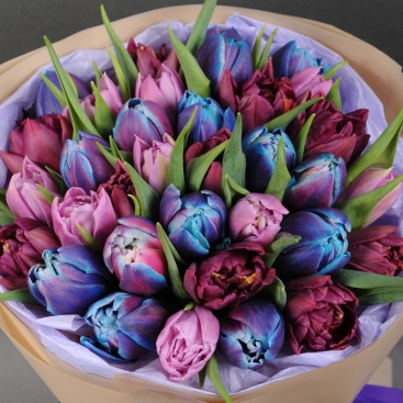Bouquet tulip mix Galaxy
