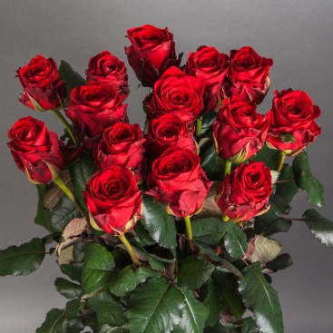 Букет із 15 червоних троянд Марічка