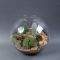 Florarium El Cactus - Photo 2