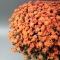 Assorted chrysanthemum in a pot - Photo 2