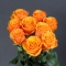 Bouquet of 9 roses Tycoon - Photo 2