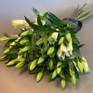 Bouquet of mourning lilies