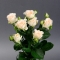 Троянда Софі спрей - Фото 1
