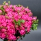 29 троянд спрей Річ Бабблз - Фото 3