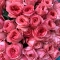 Букет із 25 рожевих троянд Пінк Експрешн - Фото 3