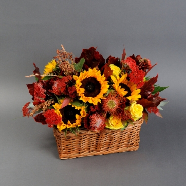 Кошик Я - Україна