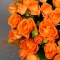 Композиція з трояндою Оранж Фаєр - Фото 6